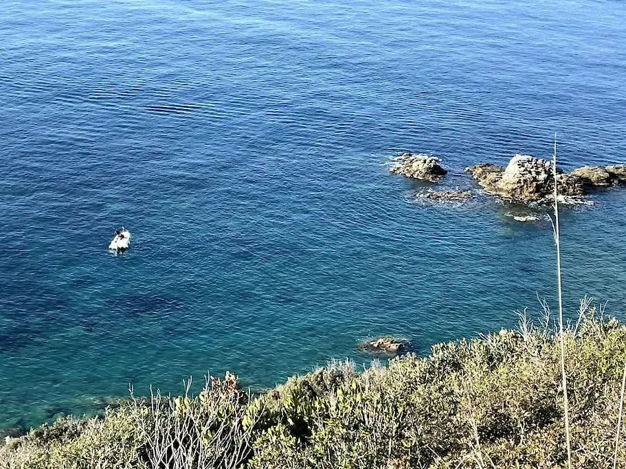 La Casina A Piombino Apartment